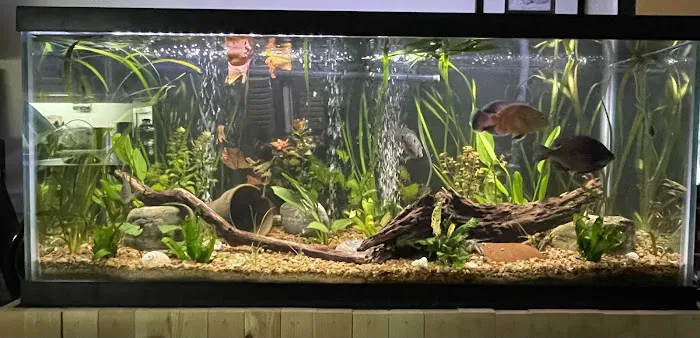 Olathe Pet Shop Picture 2