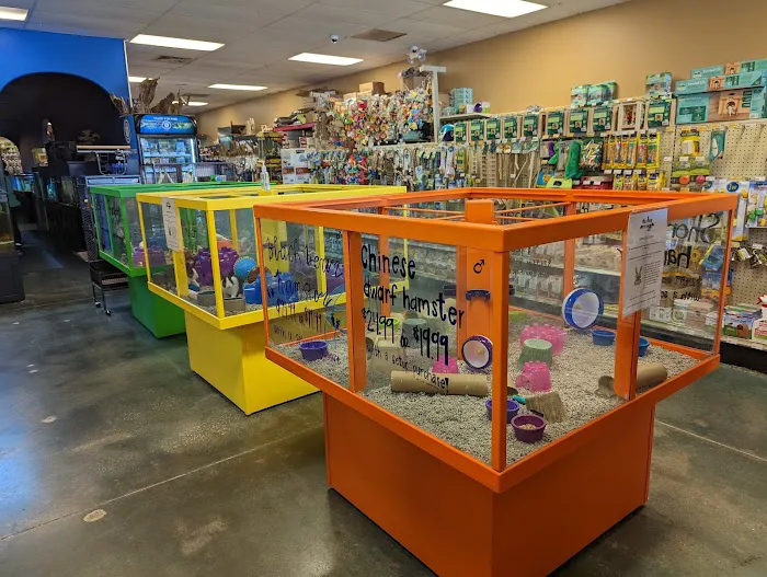 Olathe Pet Shop Picture 6