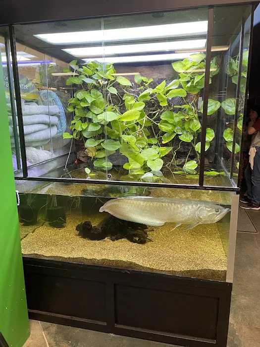 Olathe Pet Shop Picture 4