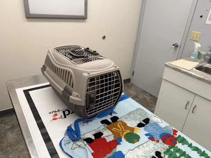 Guilderland Animal Hospital Picture 2