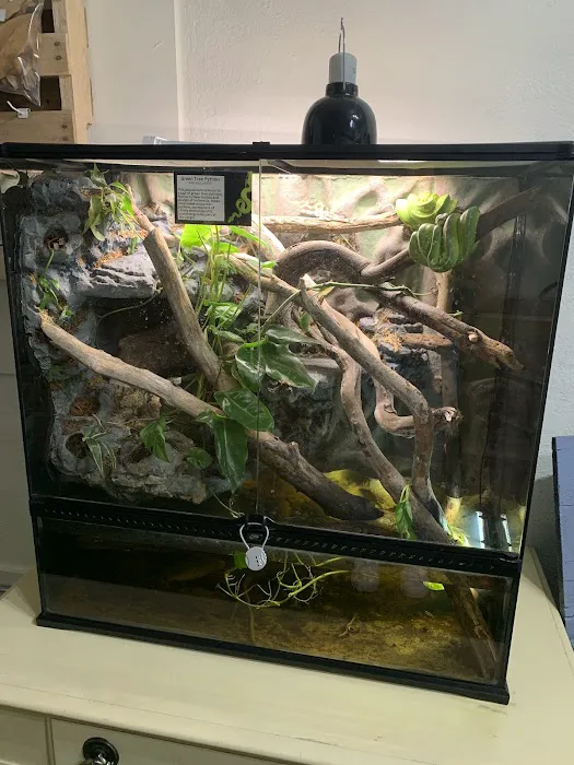 Bio Boutique Picture 10