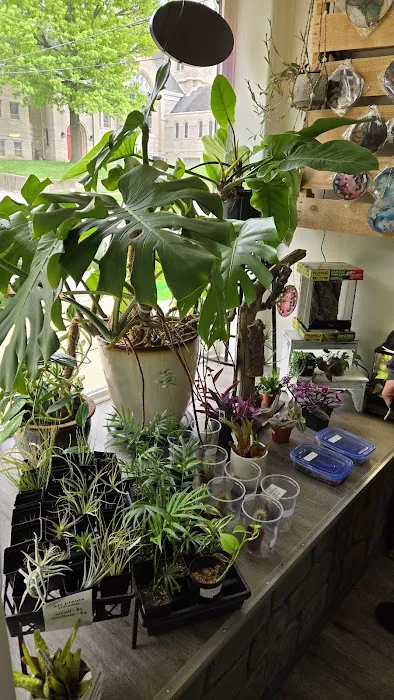 Bio Boutique Picture 1