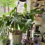 Bio Boutique