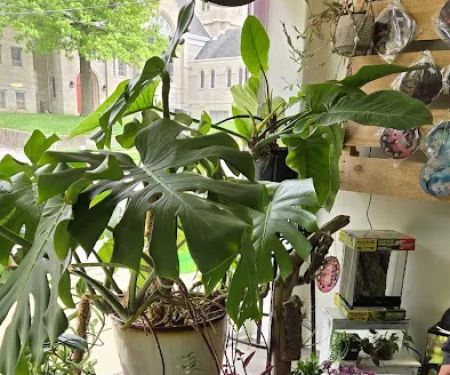 Bio Boutique