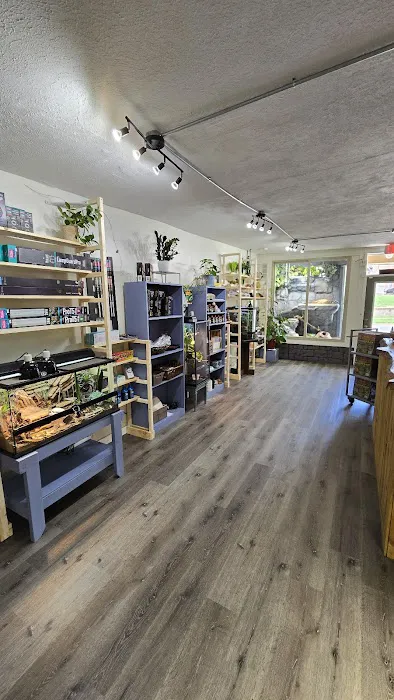Bio Boutique Picture 6
