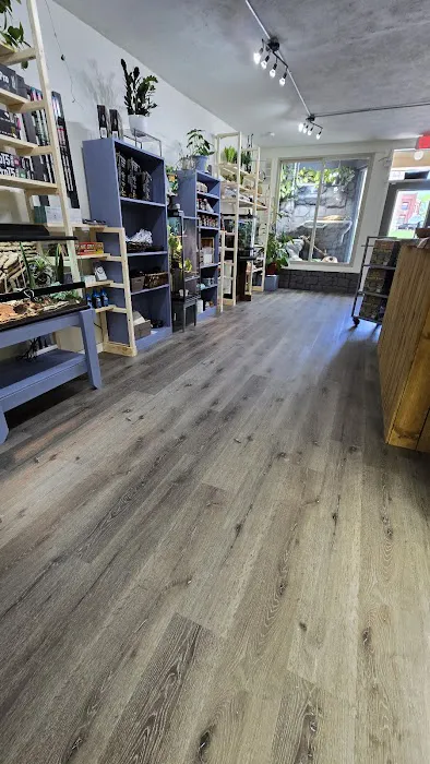 Bio Boutique Picture 8