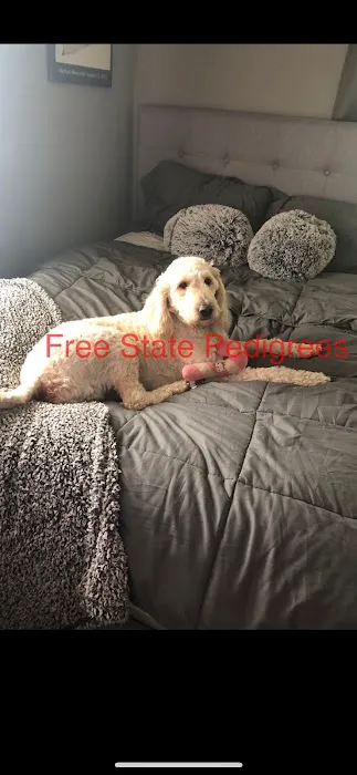 Free State Pedigrees Picture 2