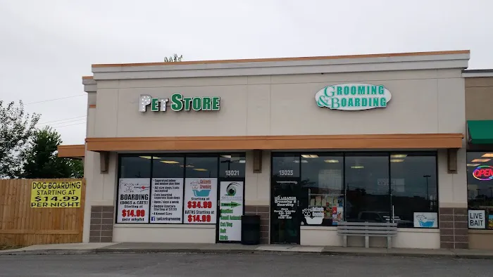 GoLizards Grooming, Boarding and Daycare Picture 1