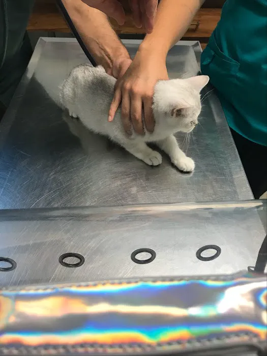 Parkside Veterinary Hospital Picture 5