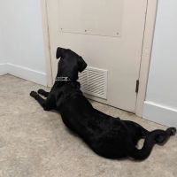 Parkside Veterinary Hospital ico