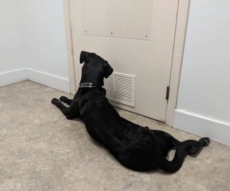 Parkside Veterinary Hospital