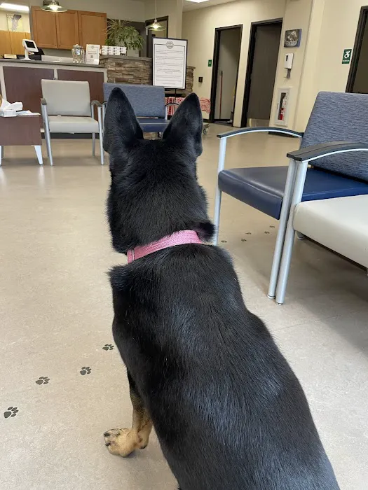 New York State Veterinary Medical Society Picture 1