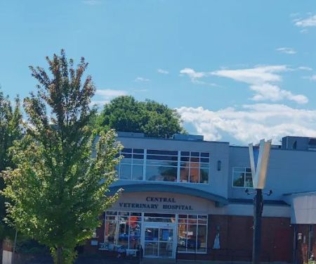Central Veterinary Hospital