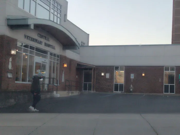 Central Veterinary Hospital Picture 5