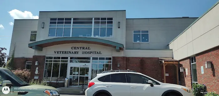 Central Veterinary Hospital Picture 3