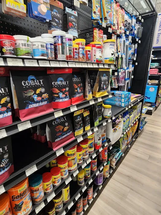 Pet Supermarket Picture 9