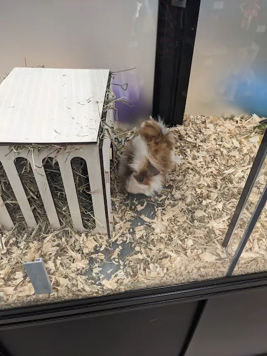 Pet Supermarket Picture 1