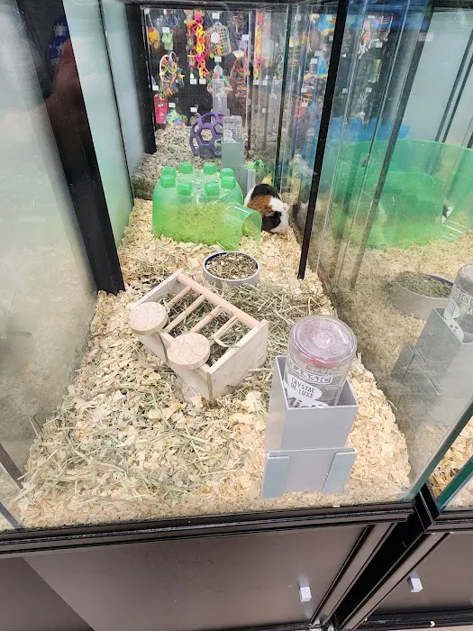 Pet Supermarket Picture 4
