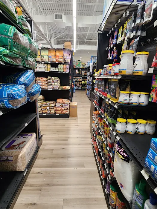 Pet Supermarket Picture 7