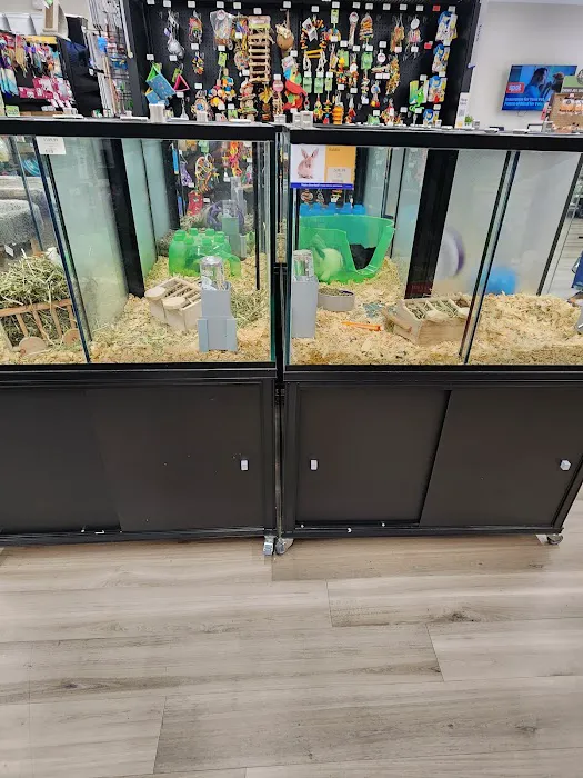 Pet Supermarket Picture 3