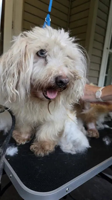 Miller Animal Hospital Picture 1