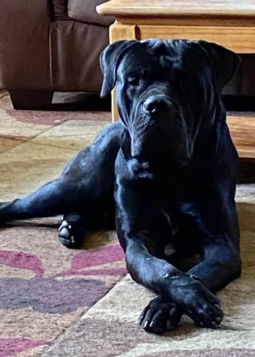 Miller Animal Hospital Picture 8