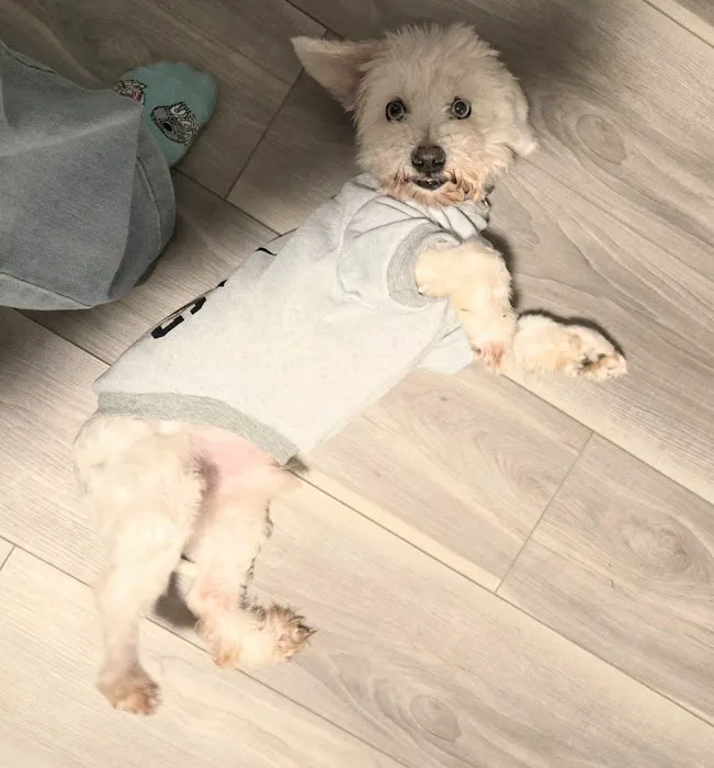 Miller Animal Hospital Picture 3