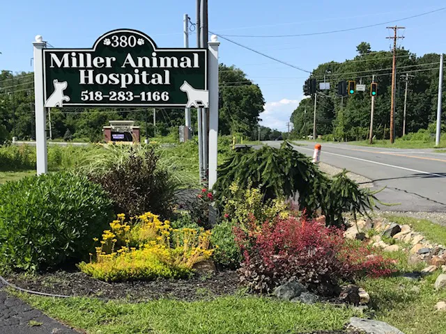 Miller Animal Hospital Picture 9