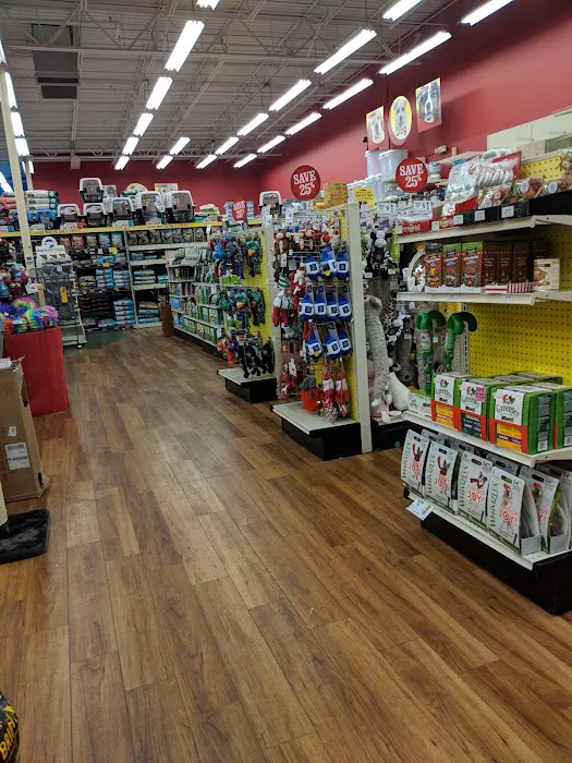 Pet Supermarket Picture 1