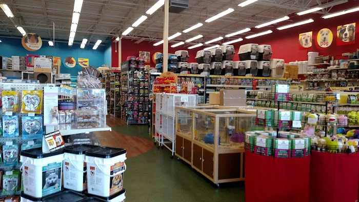 Pet Supermarket Picture 5