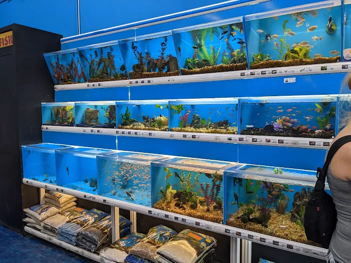 Pet Supermarket Picture 3