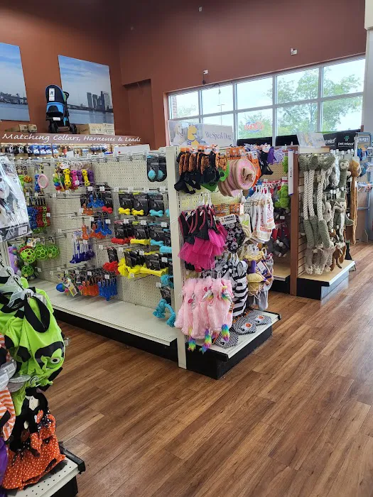 Pet Supermarket Picture 8