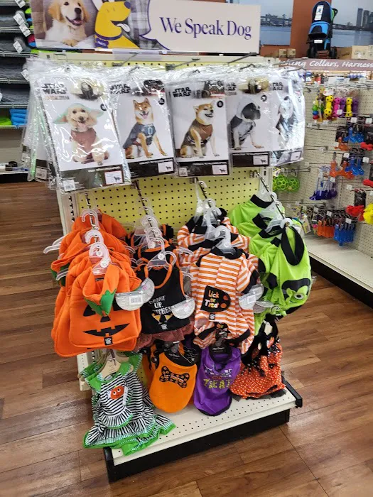 Pet Supermarket Picture 6