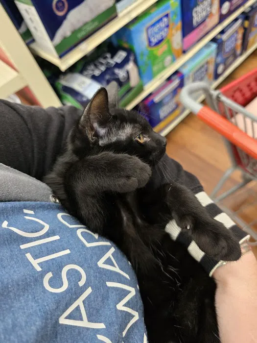 Pet Supermarket Picture 10