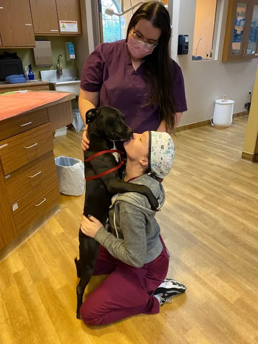 4 Paws Veterinary Care PLLC Picture 6