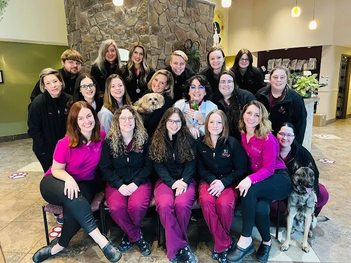 4 Paws Veterinary Care PLLC Picture 1