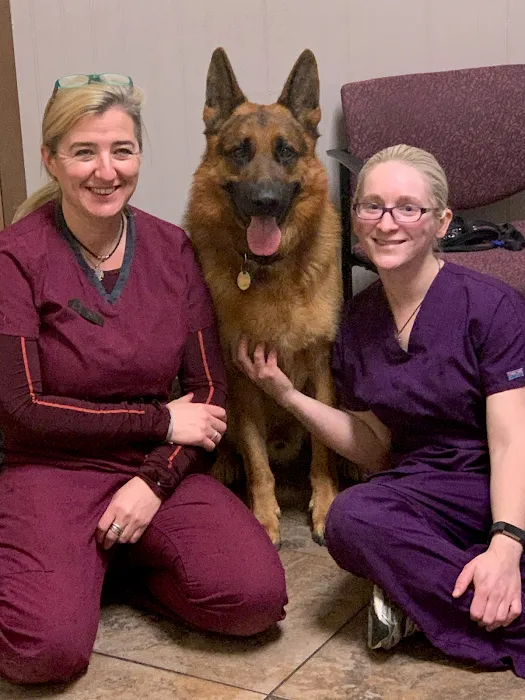 4 Paws Veterinary Care PLLC Picture 10
