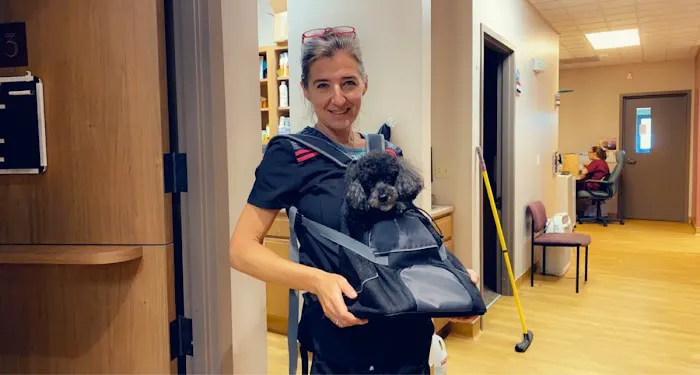 4 Paws Veterinary Care PLLC Picture 5