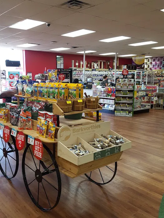 Pet Supermarket Picture 3