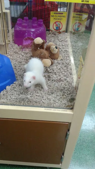 Pet Supermarket Picture 5