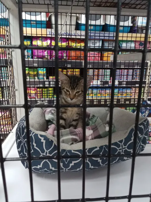 Pet Supermarket Picture 2