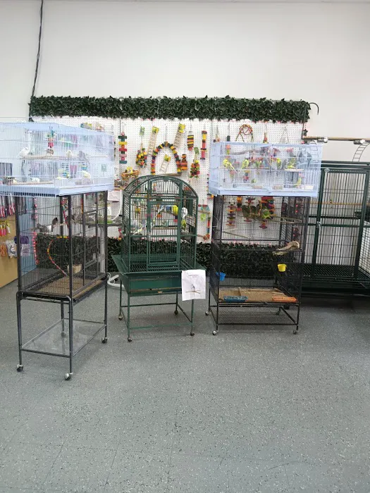Mia’s Blessing Pet Shop Picture 5