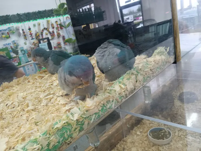 Mia’s Blessing Pet Shop Picture 2
