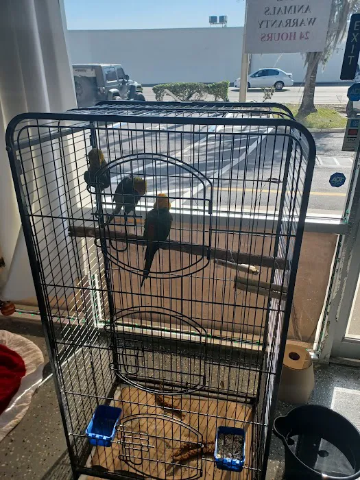 Mia’s Blessing Pet Shop Picture 10