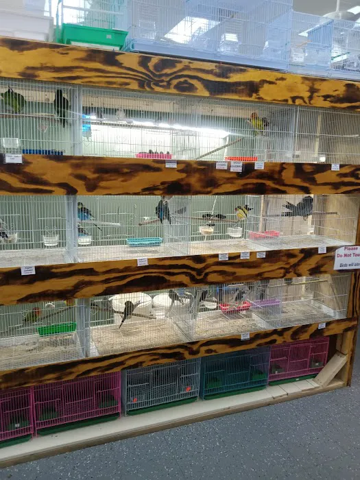 Mia’s Blessing Pet Shop Picture 3