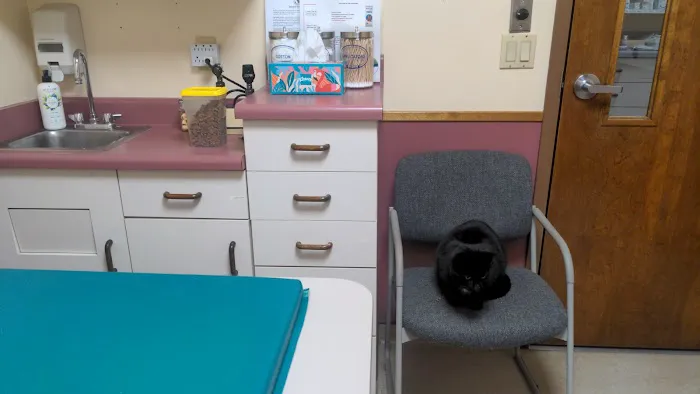 Berkshire Humane Society's Wellness Clinic Picture 1