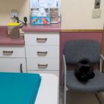 Berkshire Humane Society's Wellness Clinic
