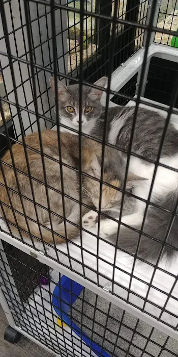 Pet Supermarket Picture 3