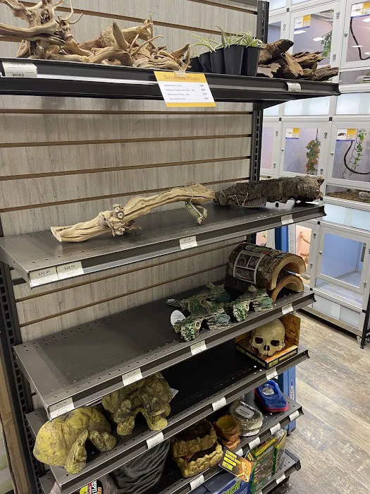 Pet Supermarket Picture 9