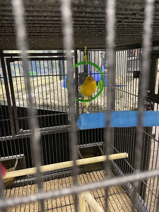 Pet Supermarket Picture 1